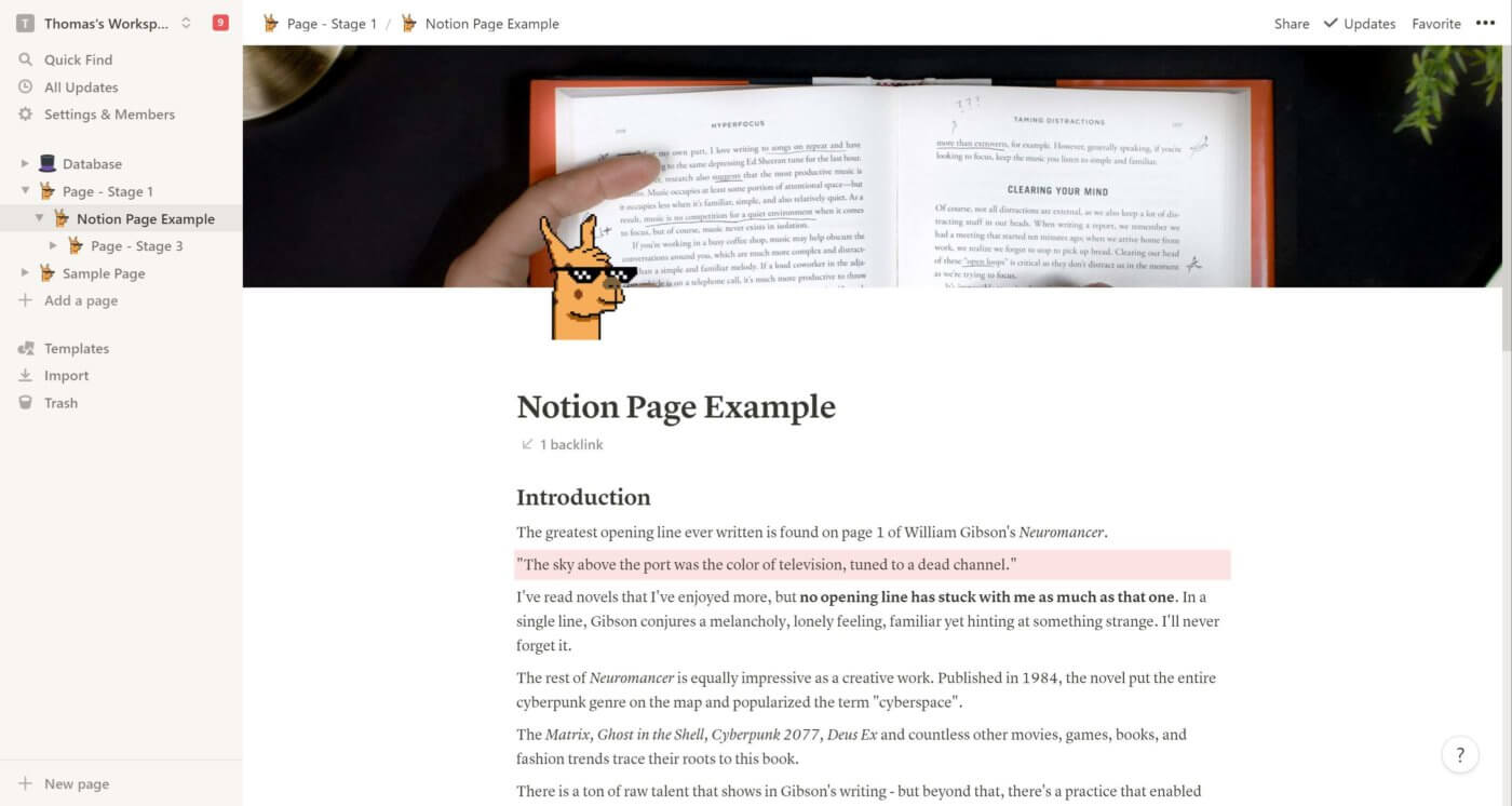 Example page in Notion with additional formatting