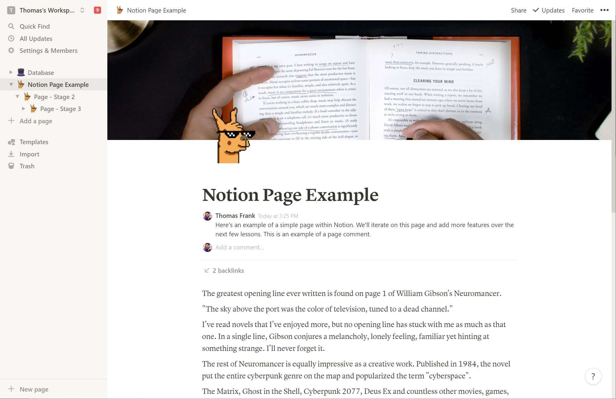 notion web page