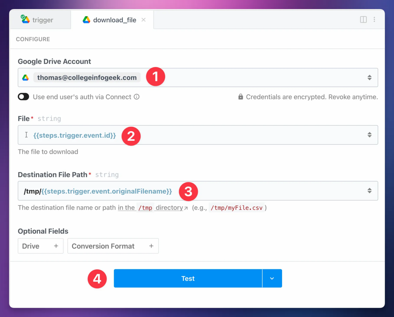 The fully configured download file step for Google Drive. 