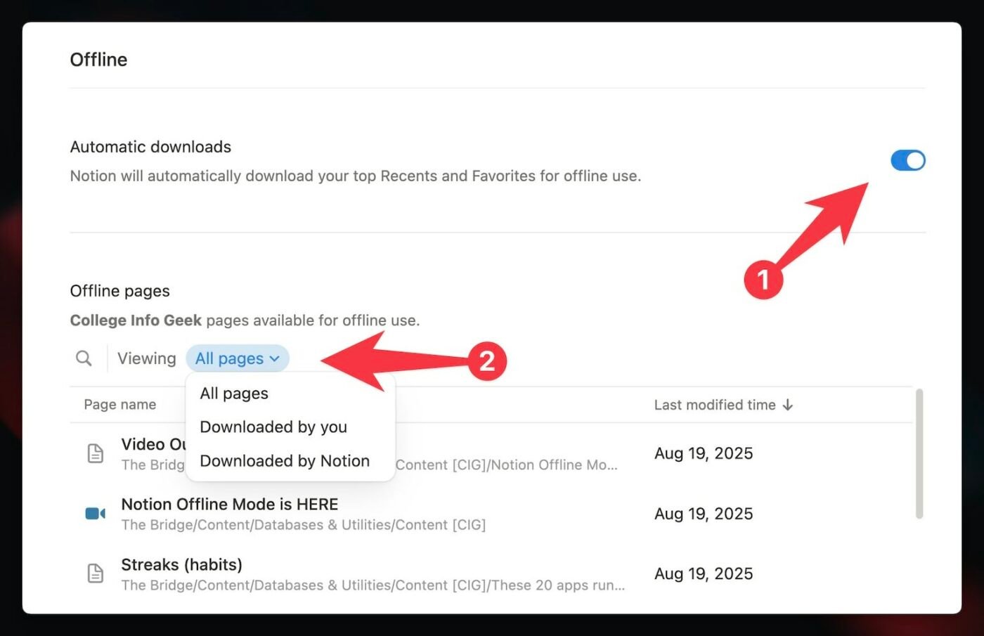 A screenshot showing the Offline section of Settings. 
