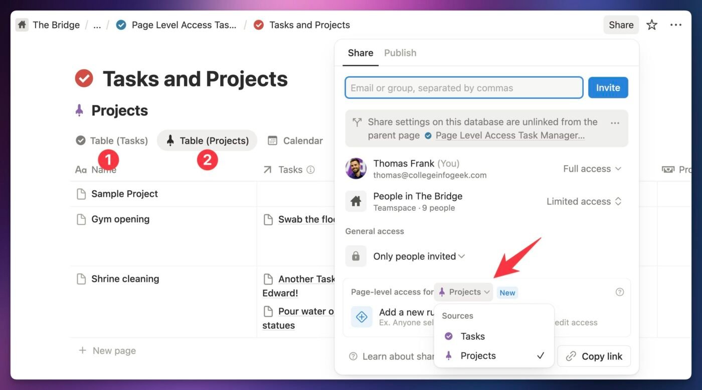 A screenshot showing the page-level access section in the Share menu for a database with multiple data sources. 